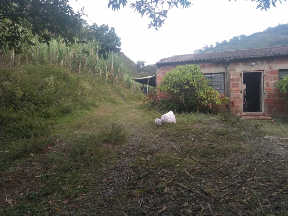 Vendo o Permuto Finca Agrícola En Pacho Cundinamarca