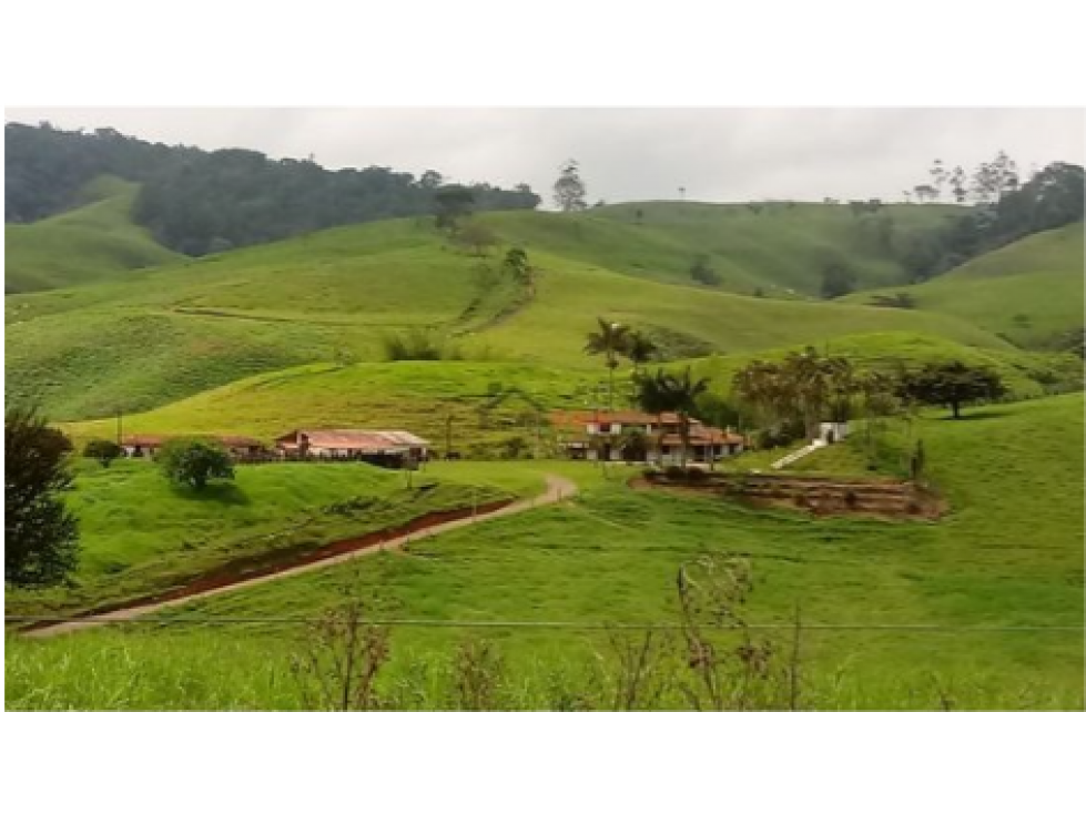 Venta Finca En Restrepo, Valle del Cauca, Ganadera
